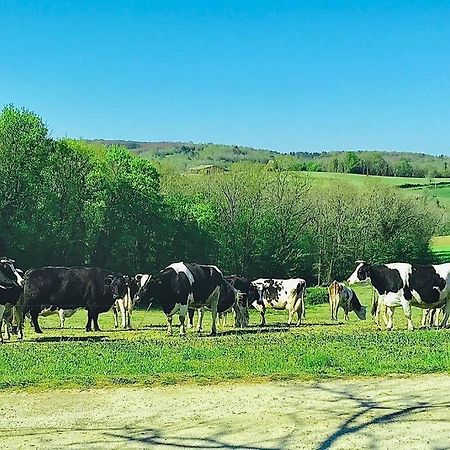 « Le Vieux Hangar » Gite A La Ferme Le Buisson-de-Cadouin Εξωτερικό φωτογραφία
