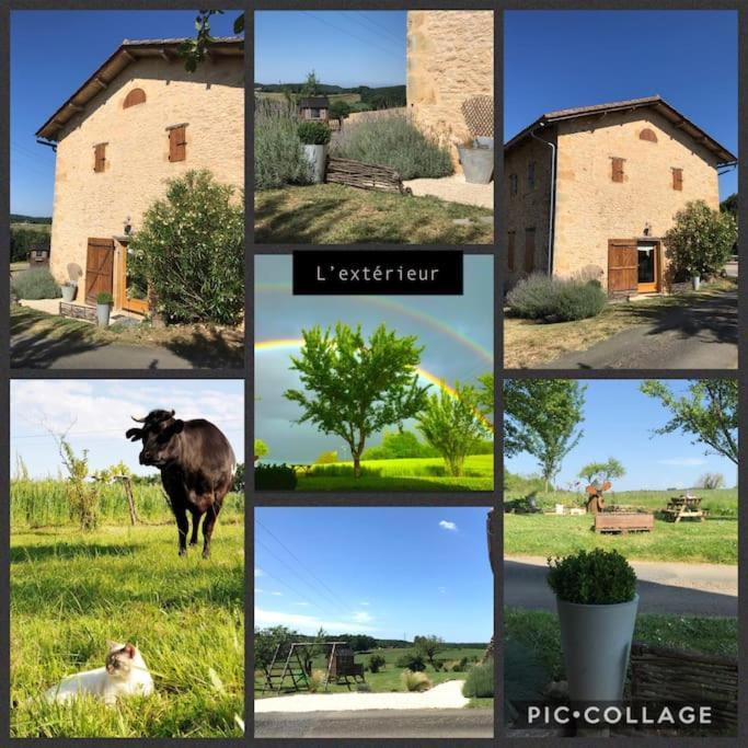 « Le Vieux Hangar » Gite A La Ferme Le Buisson-de-Cadouin Εξωτερικό φωτογραφία